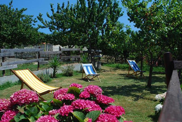 Agriturismo Terra E Cielo Serra Rocco Eksteriør billede